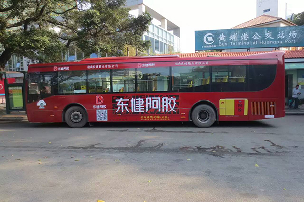 广州东健阿胶公交车广告